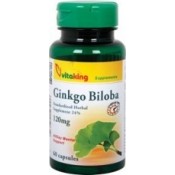 VK Ginko Biloba 120 mg 60 kapszula